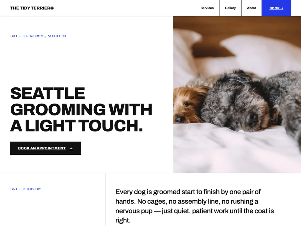 The Studio template, a tight editorial grid with large type