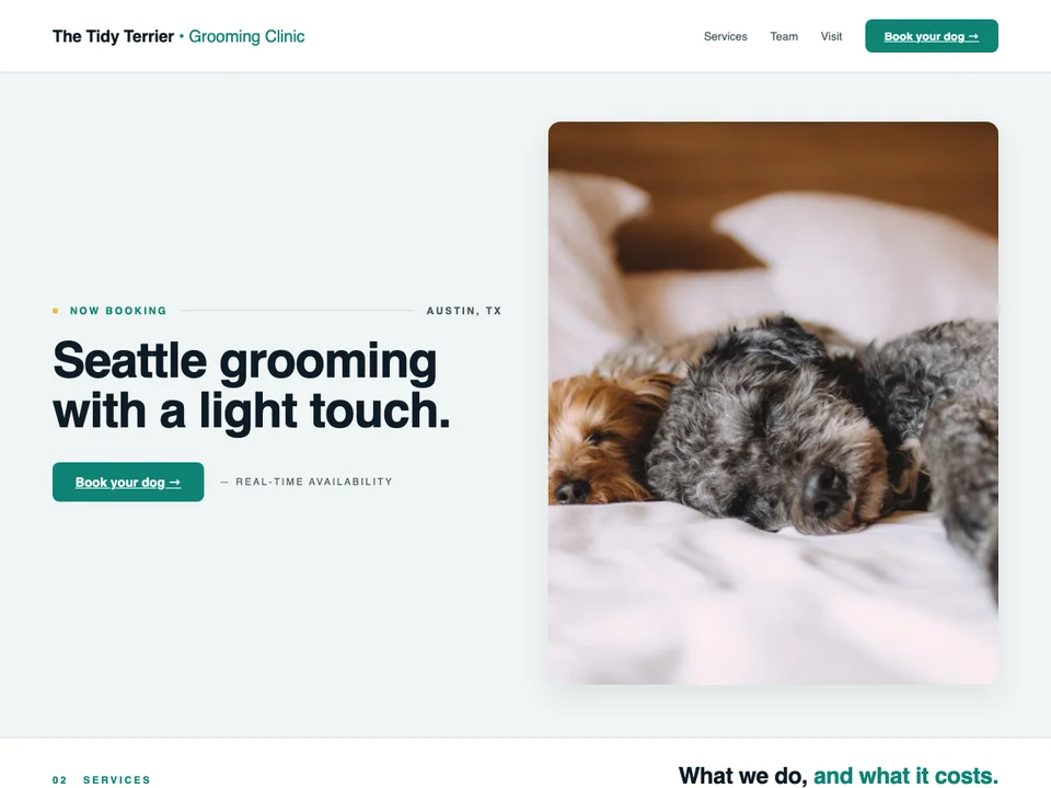 The Trusted Clinic template, a plain, reassuring layout with hours and an address up front